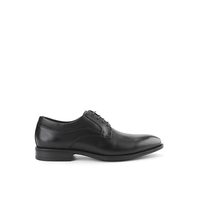Alder Bay In Black