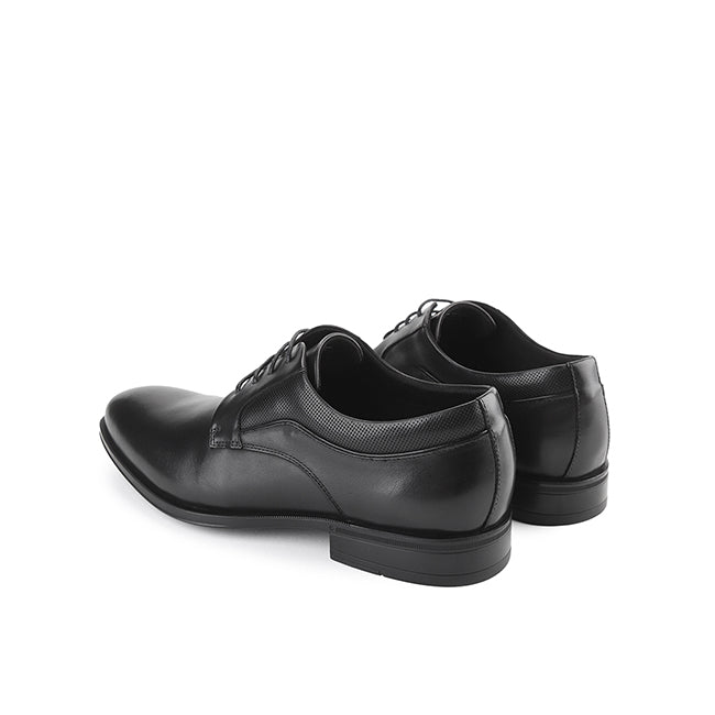 Alder Bay In Black