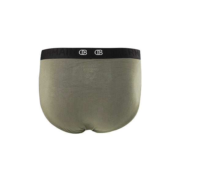 Pmtsp2 Brief In Olive S