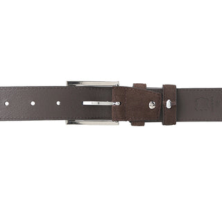 Haze Casual Belt In Brown