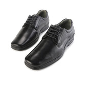 Amos Kenny Lace Up in Sheep Leather