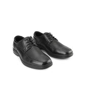 Adam Gavino Lace Up in Brushed leather