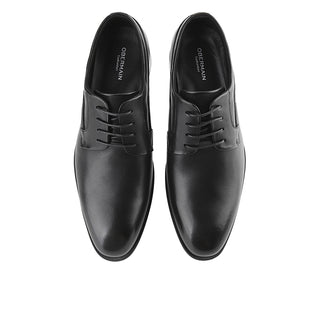 Alder Bay In Black