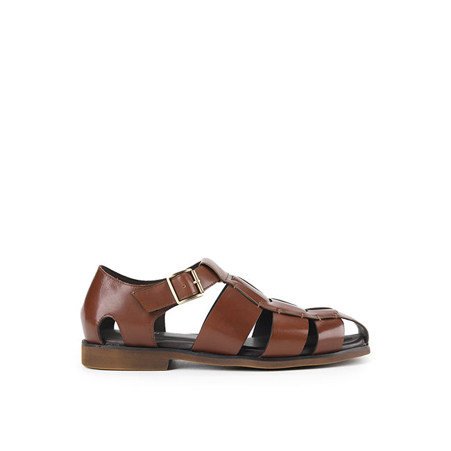 Cole Davis In Brown