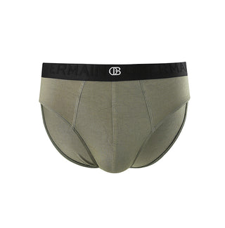 Pmtsp2 Brief In Olive S