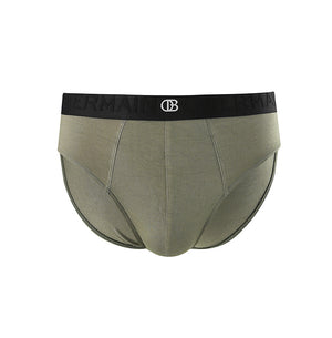 Pmtsp2 Brief In Olive M