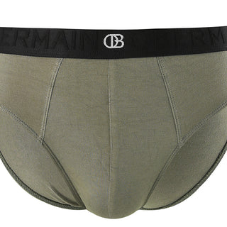 Pmtsp2 Brief In Olive L