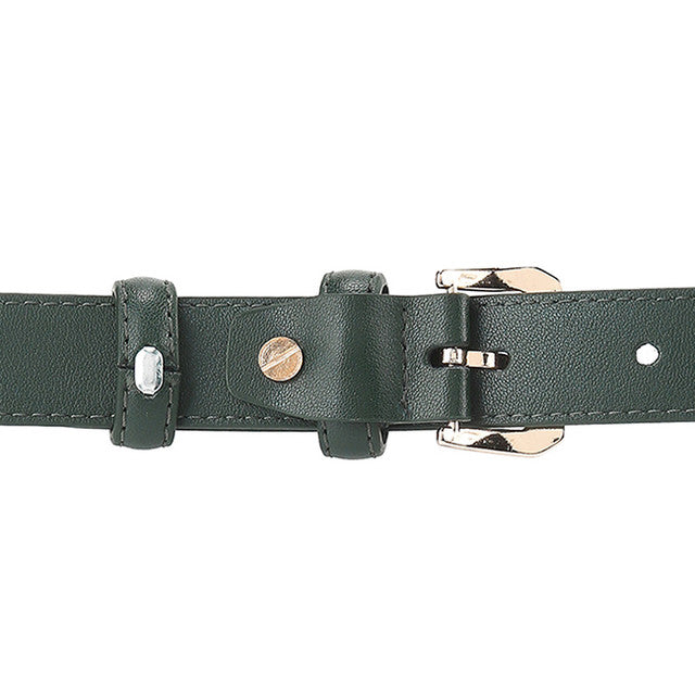 Bailey Ladies Belt In Olive