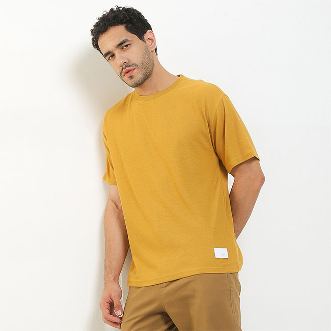 Antony In Camel